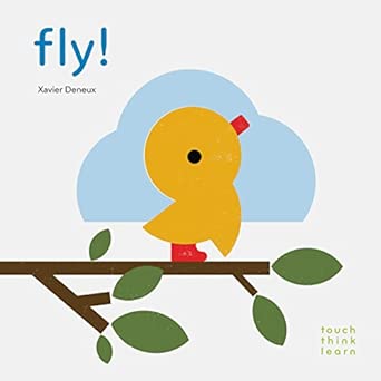 Touch Think Learn: Fly