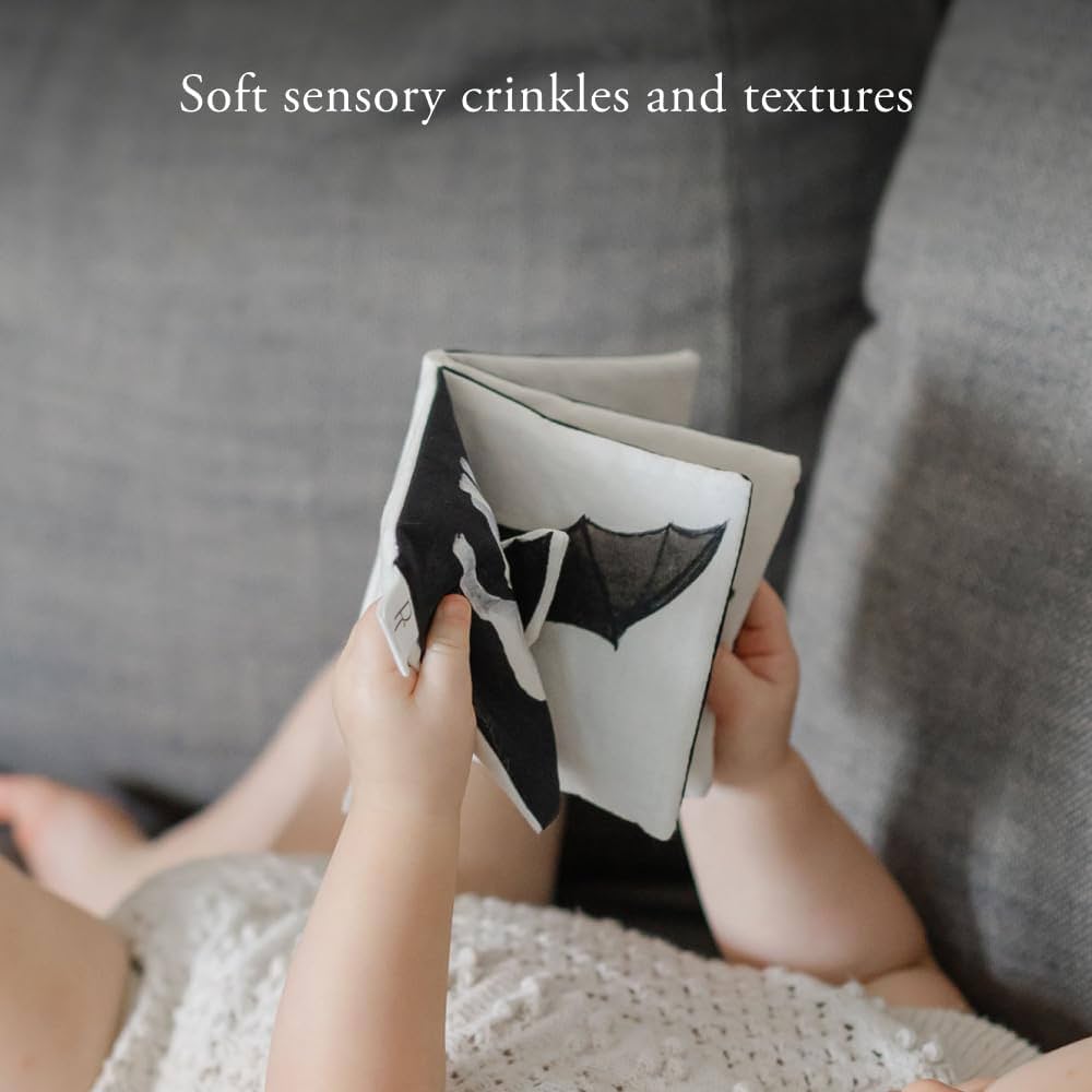 Tabitha Paige Crinkle Book