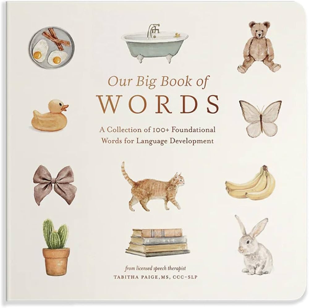 Our Big Book of Words
