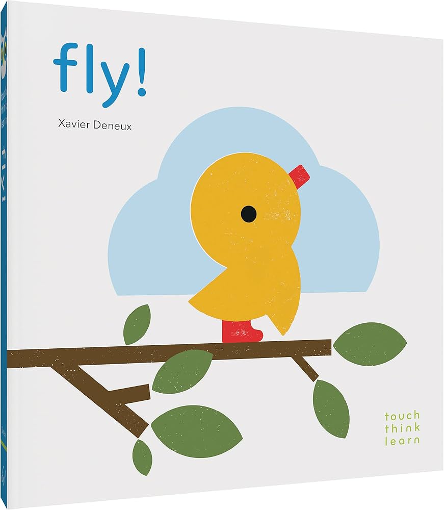 Touch Think Learn: Fly!